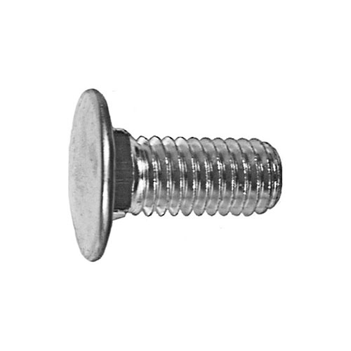 Bumper Bolt, Stainless Capped - OldsParts.com